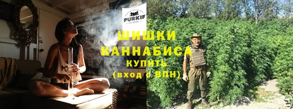 прущие грибы Пересвет